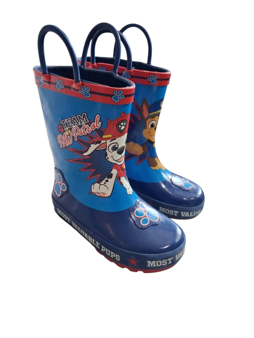 Nickelodeon paw patrol
